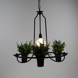 Mediterranean Garden flowers Light